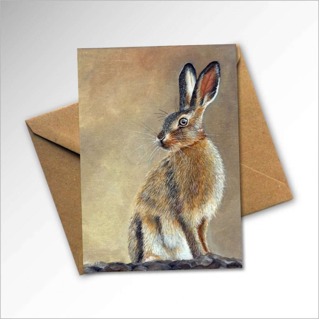 Intrigued-hare-and-envelope