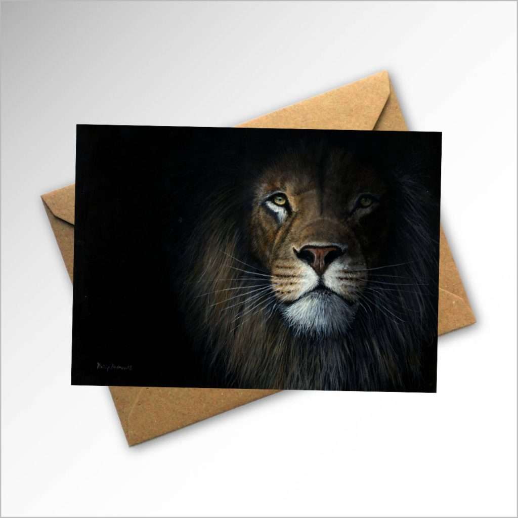 shadow-card-and-envelope