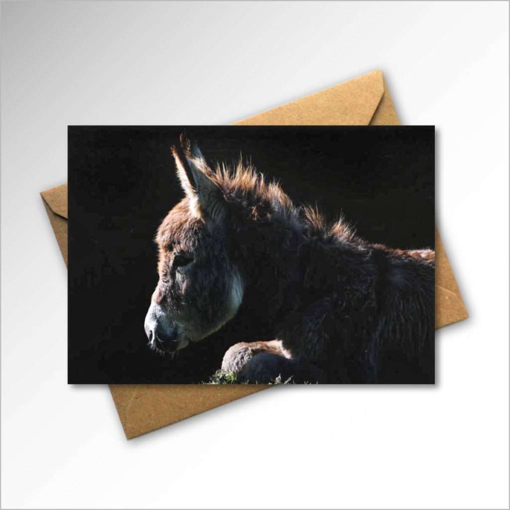 'Sanctuary' card and envelope