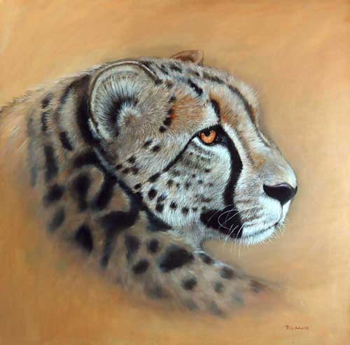 Cheetah