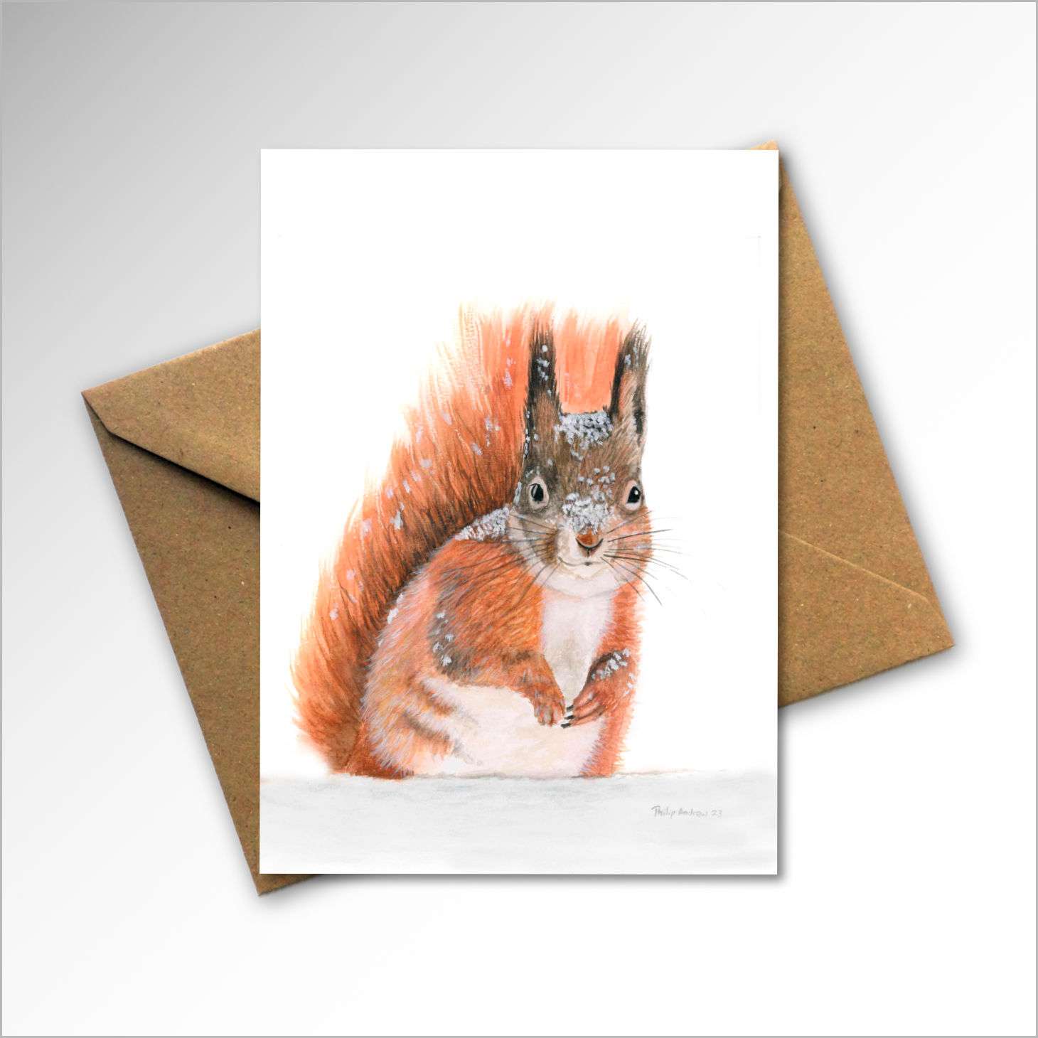 red-squirrel