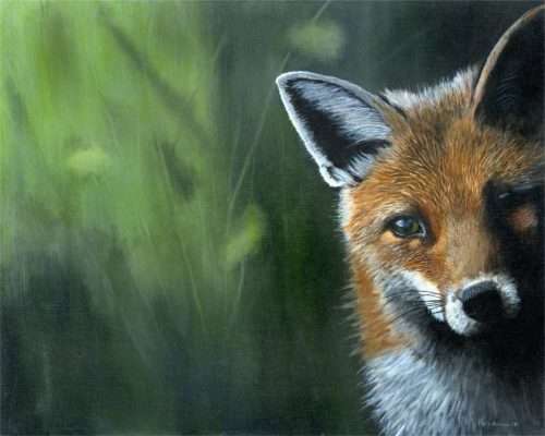 Spring Fox 10x8