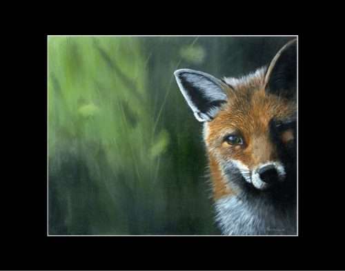 Spring Fox 10x8