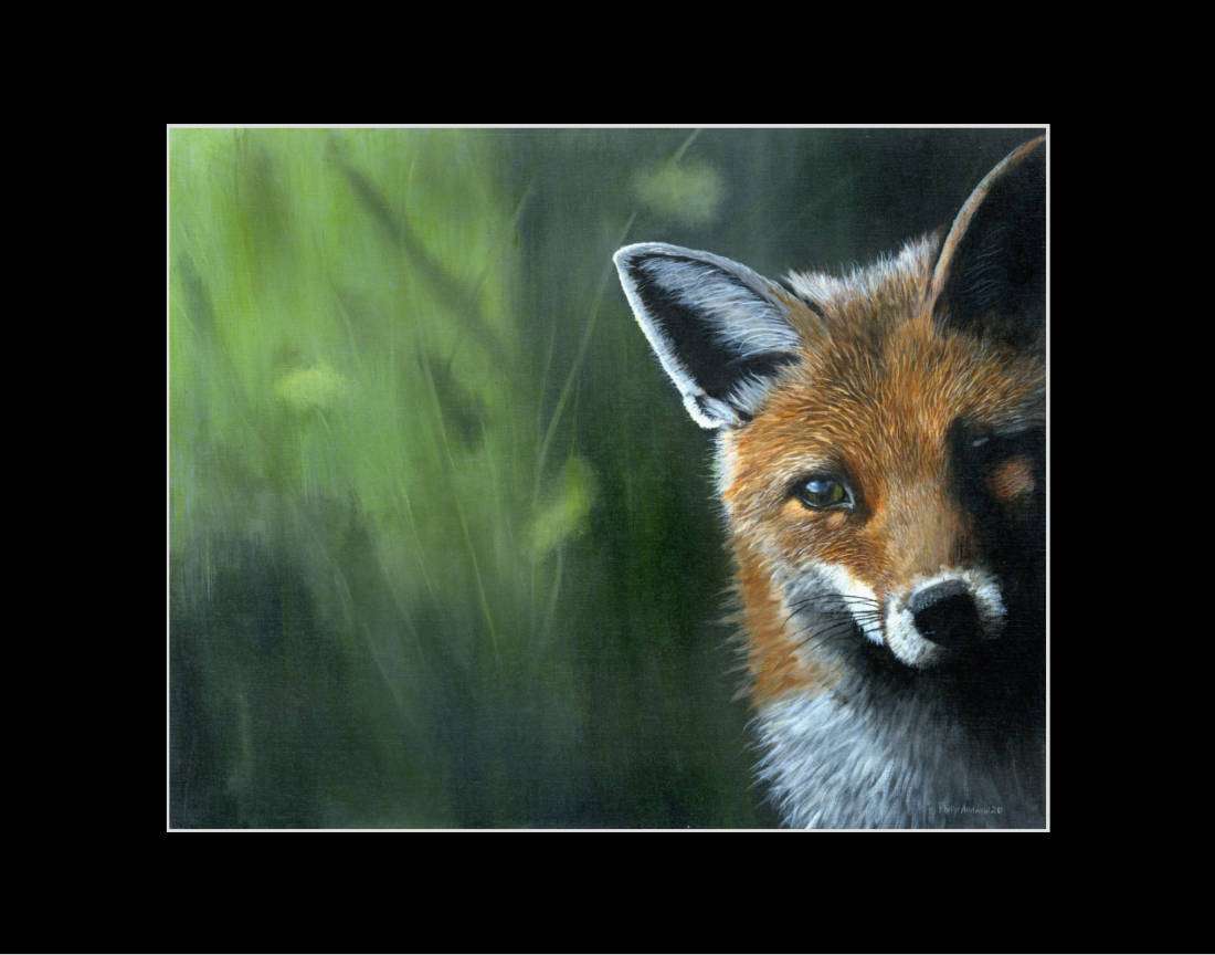 Spring Fox 10x8