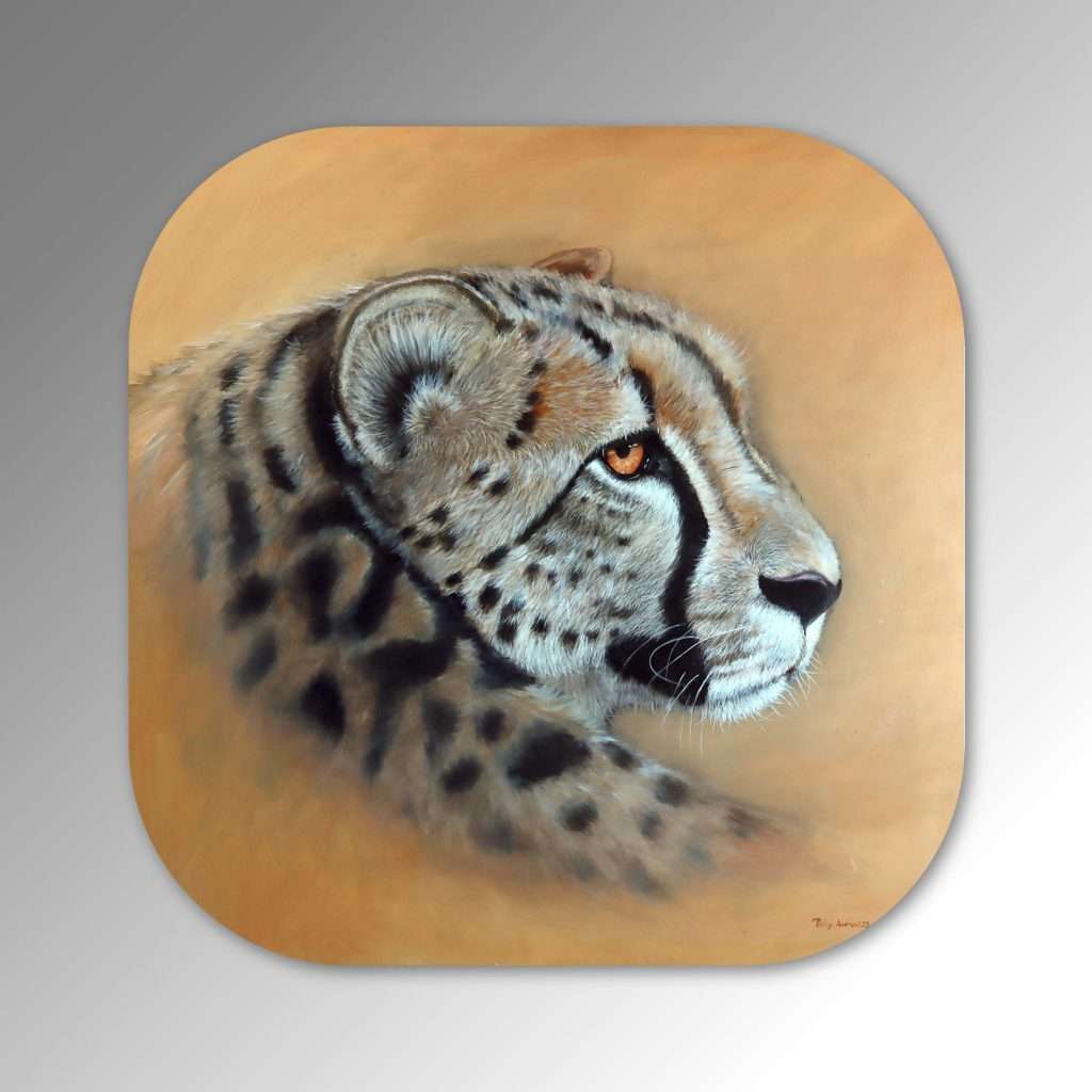 Coaster-Cheetah