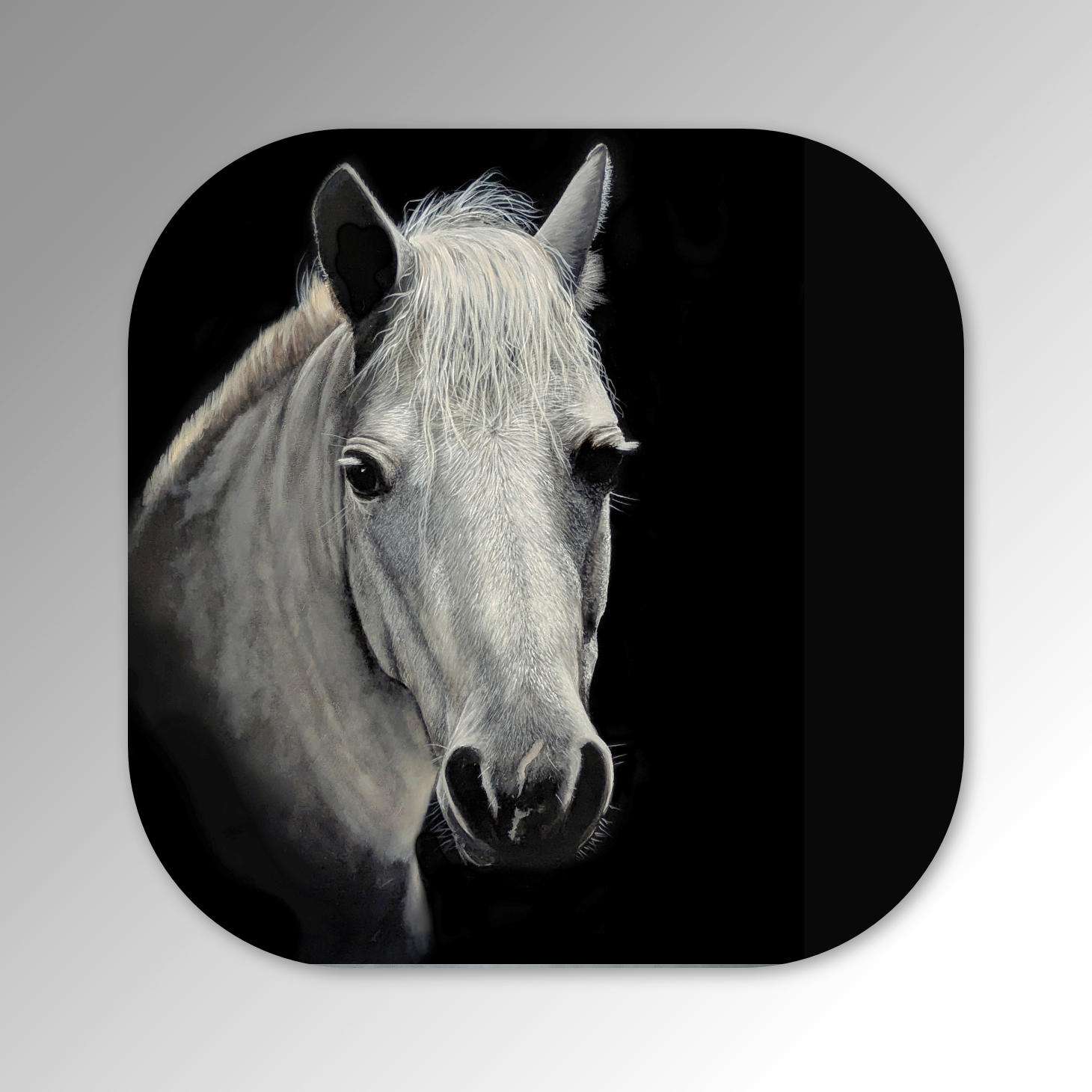 Coaster-Rafael