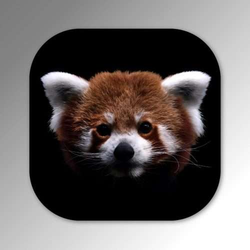 Red Panda coaster image