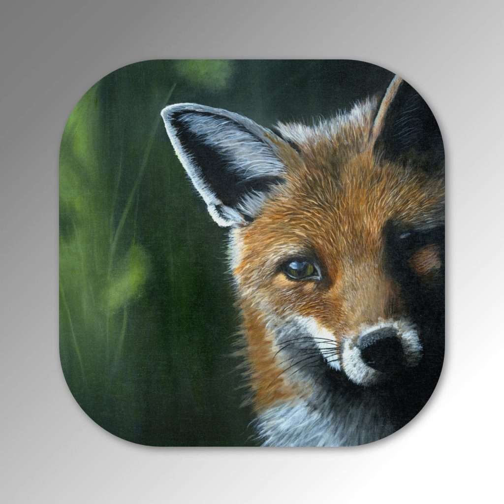 Coaster-Spring-Fox