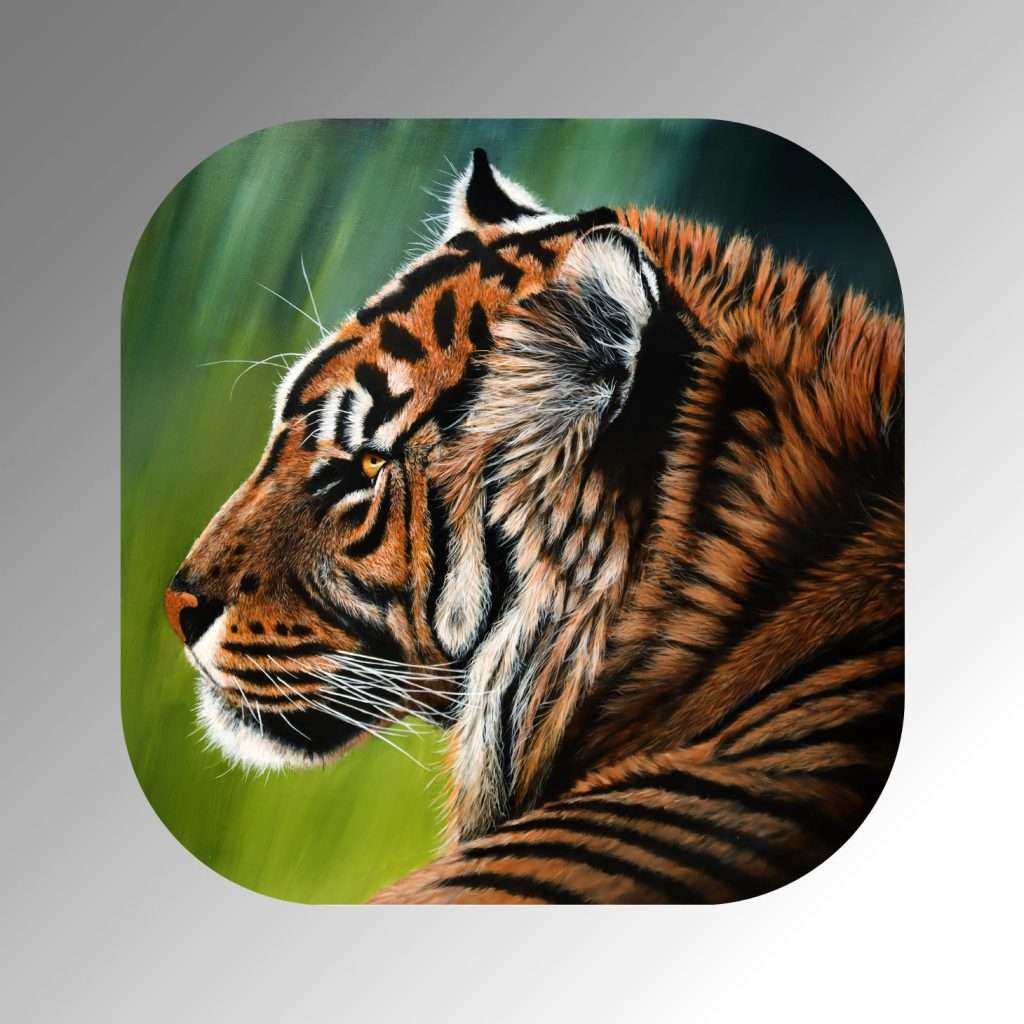 Coaster-resting tiger
