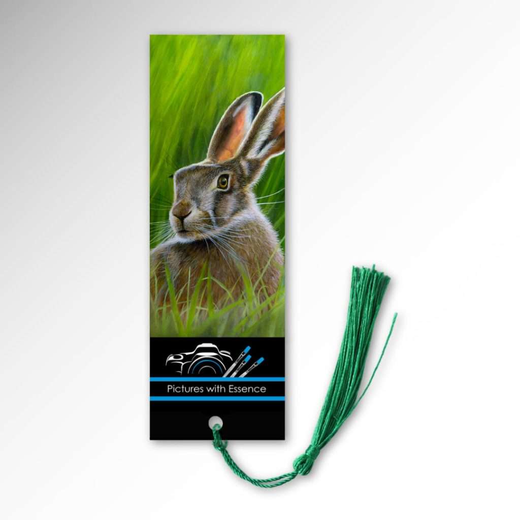 Bookmarks 'Spring Hare' image