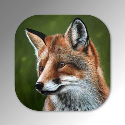 coaster-Sitting-fox