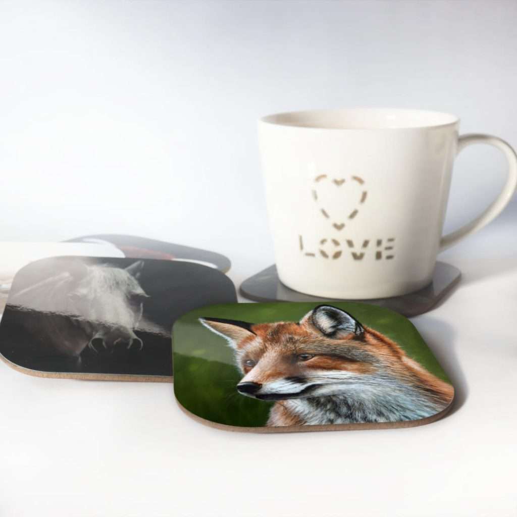 coaster-Sitting-fox