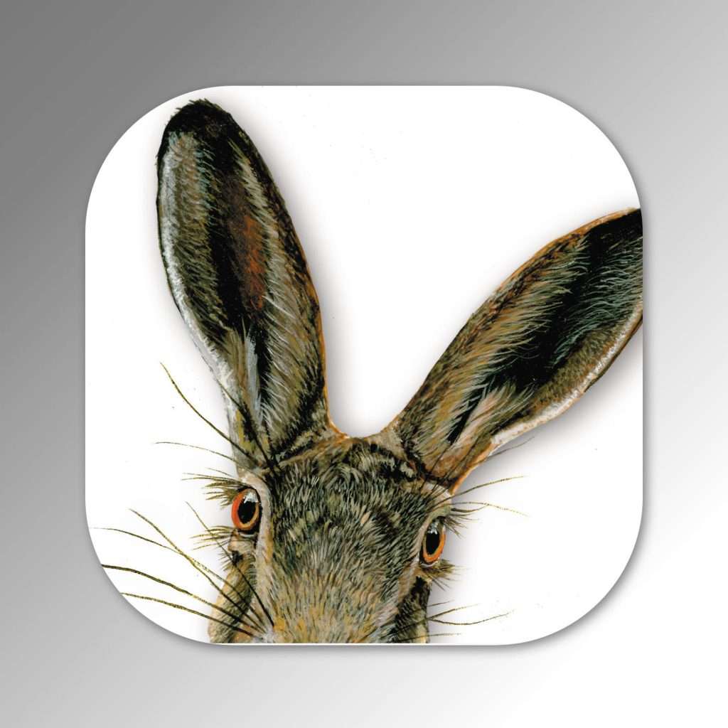 coaster-cheeky-hare