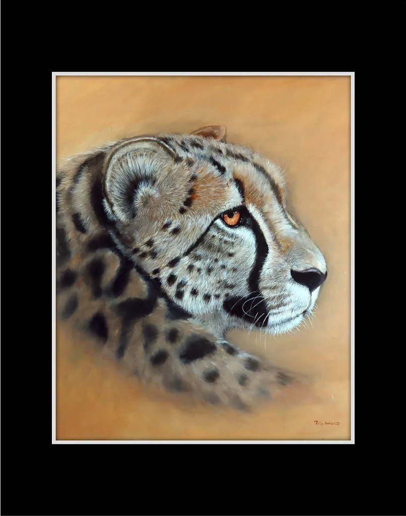 Cheetah