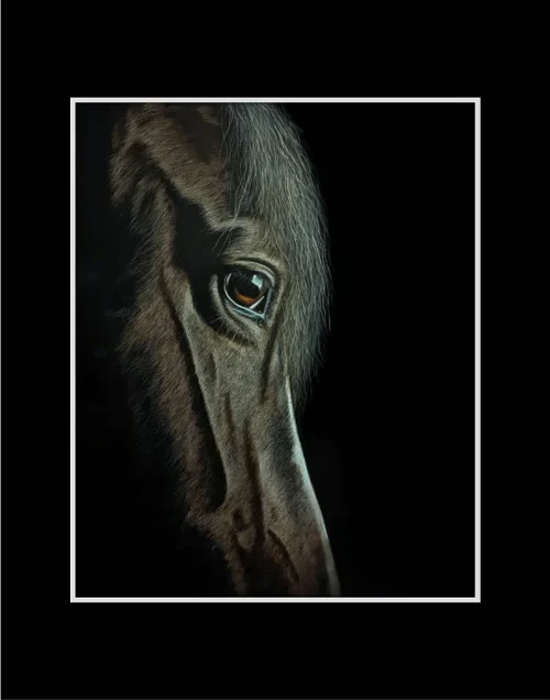 Contemplation 3