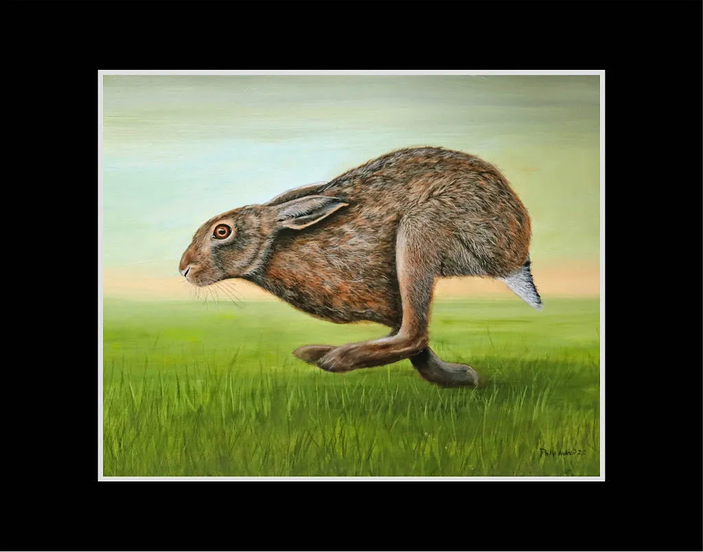 Running Hare