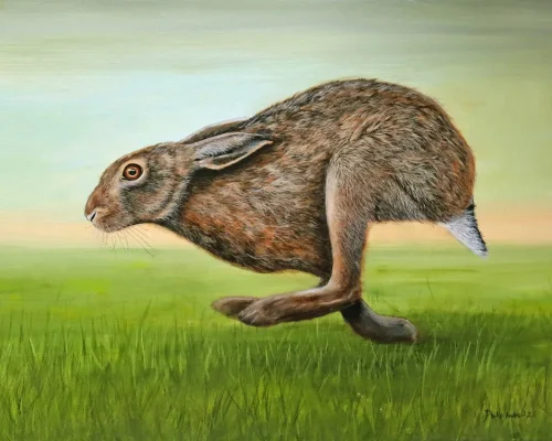 Running Hare 10x8 print