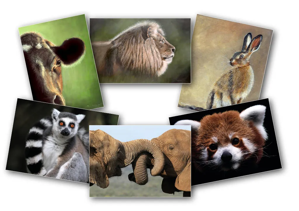 Sample image of wildlife art and photography